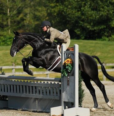 Riding lessons boarding